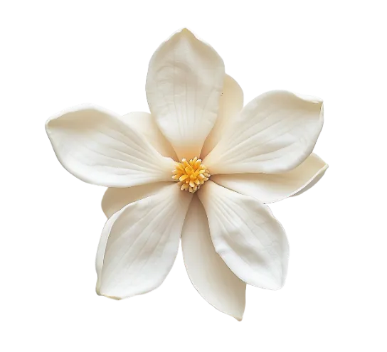 Home Main 34 manolya metal tablo artellodecor cam tablo metal tablo Home Main